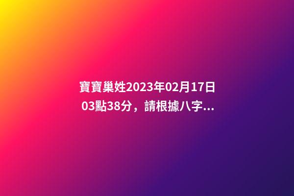 寶寶巢姓2023年02月17日 03點38分，請根據八字喜用神推薦名字